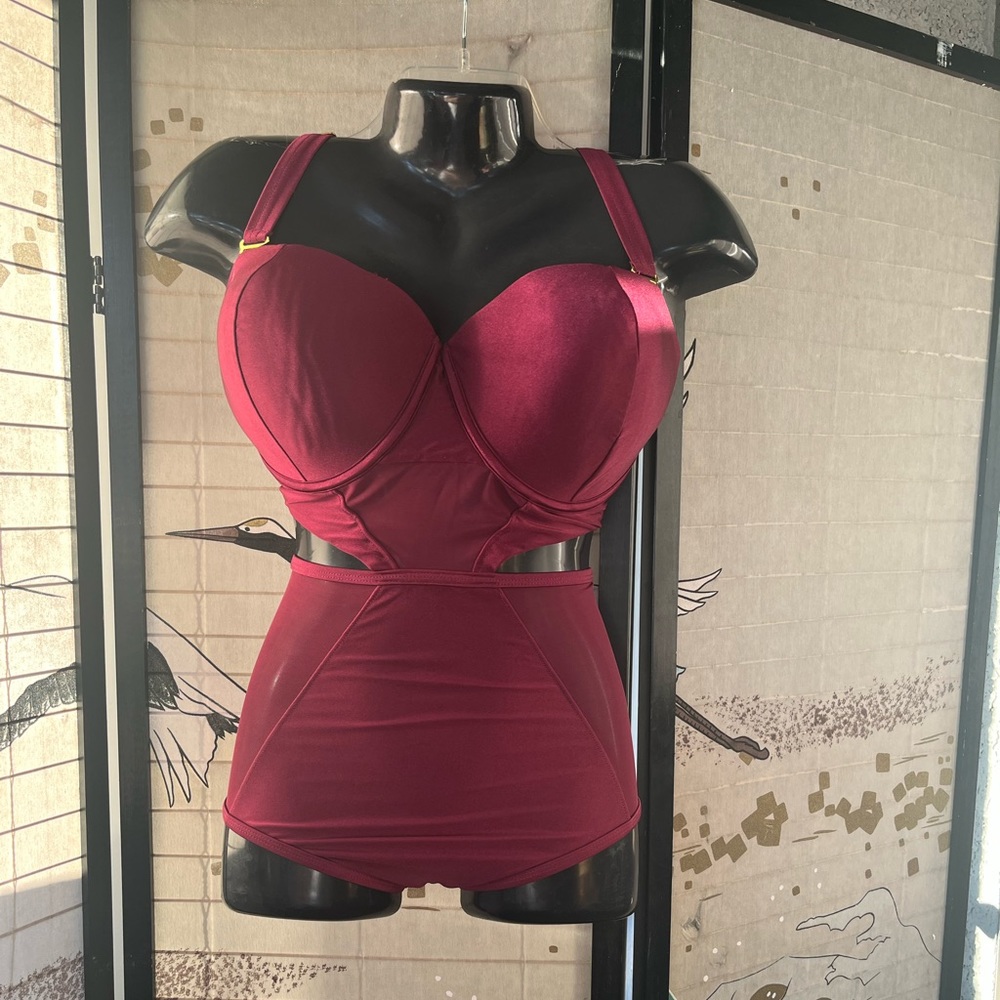 Swimsuitsforall Gabi Fresh for Swim Sexy Size 18 E/F NWT - Burgandy